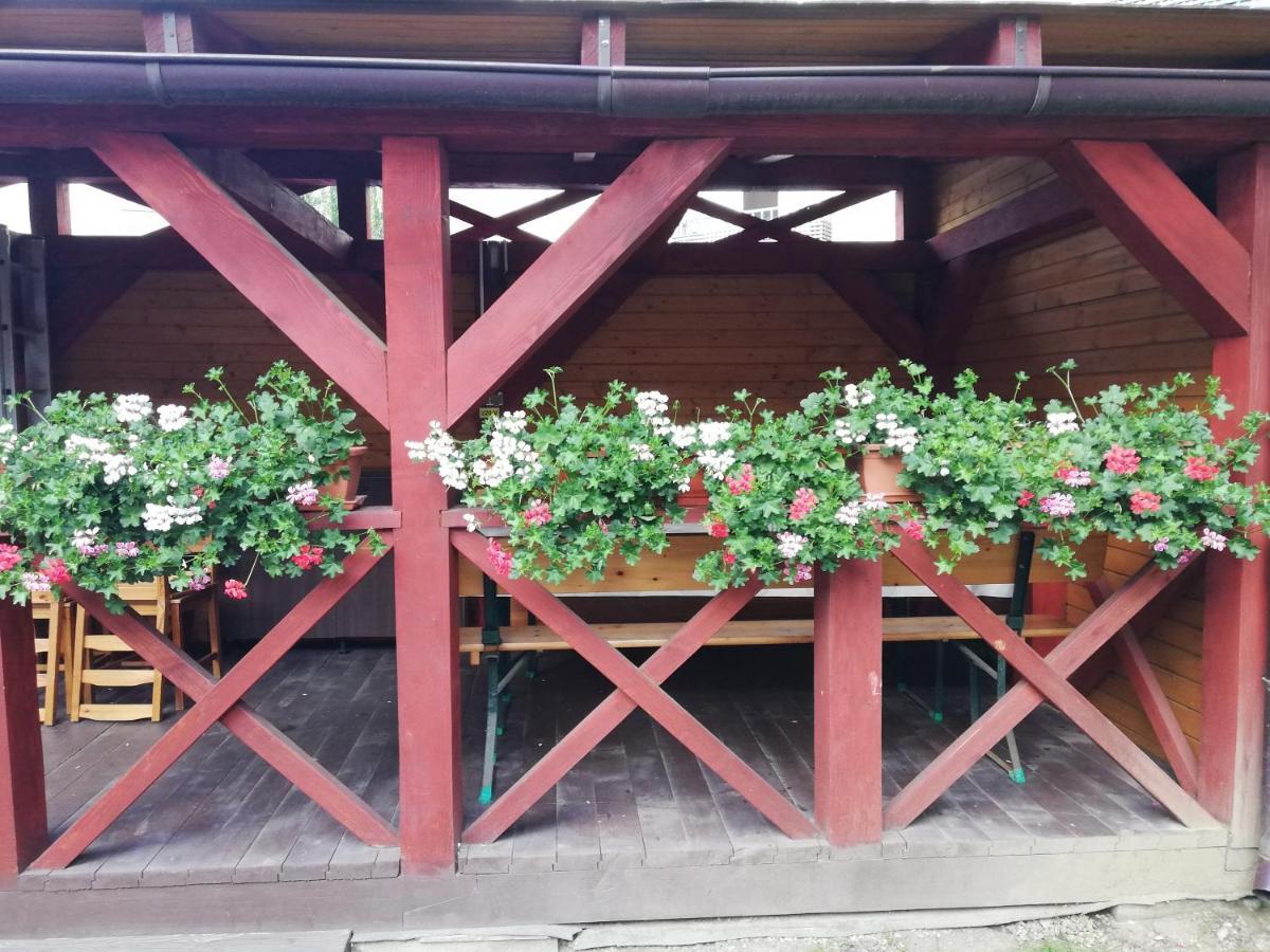 Apartament Roza Брашов Экстерьер фото