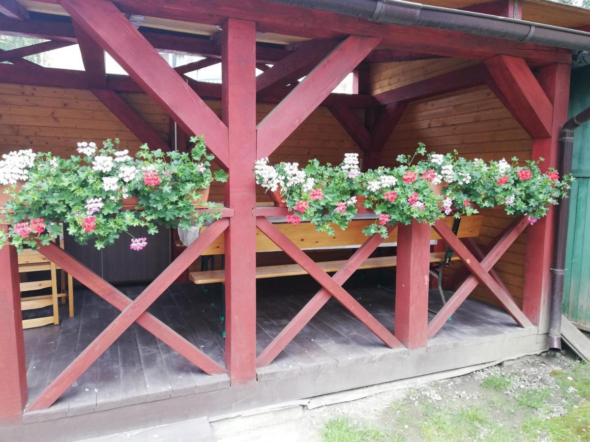 Apartament Roza Брашов Экстерьер фото