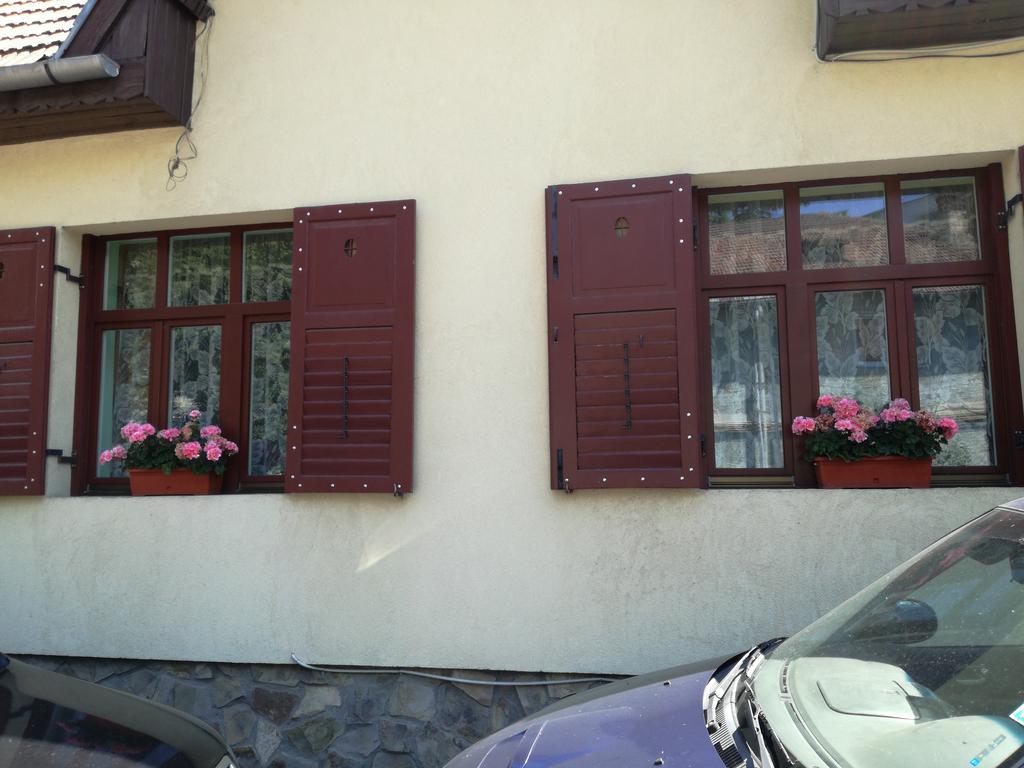 Apartament Roza Брашов Экстерьер фото