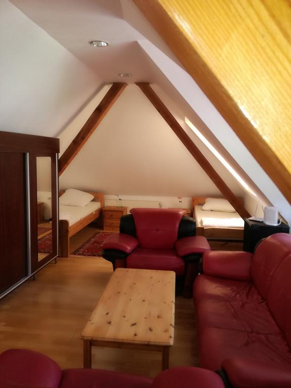 Apartament Roza Брашов Экстерьер фото