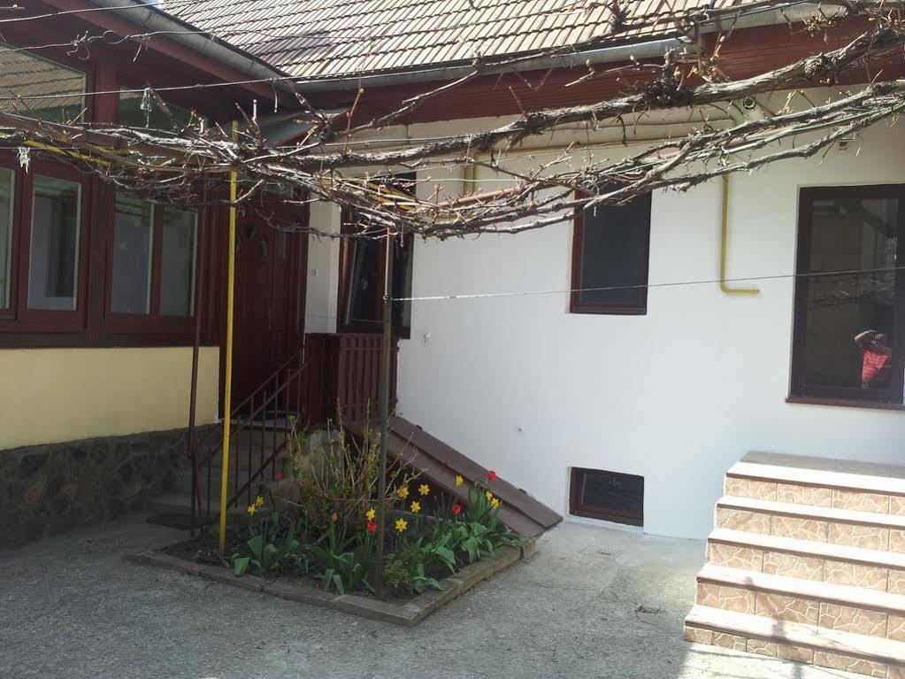 Apartament Roza Брашов Экстерьер фото