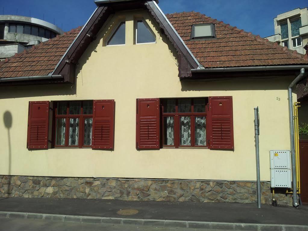Apartament Roza Брашов Экстерьер фото